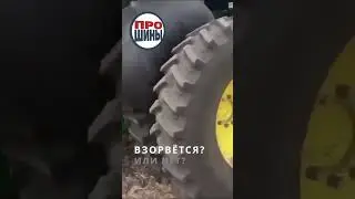 Взорвётся или нет? #shorts