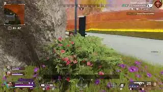 Apex