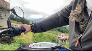 Expression of this cat is so Hilarious when he has first trip in the bike