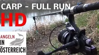 Angeln mit Boilies am WSFV - Teich / CARP FULL RUN / FULL HD