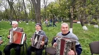 Мартоноша. Выступления ансамбля гармонистов.