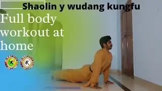 Full body workout at home no equipment _Home workout_