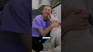 Всё что нужно собаке для счастья 💔🐶