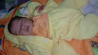Putri nangka