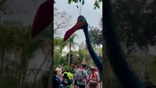 POV: When Kevin Spots Your Disneybound Of Her At Disney’s Animal Kingdom ☺️