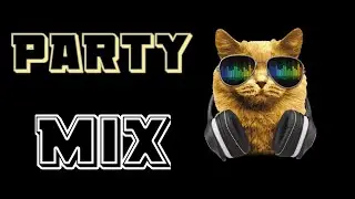 Party Mix  2020 _ Friendship EDM House Mashup Digital art