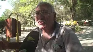 Զանգվածային թունավորում Արմավիրում