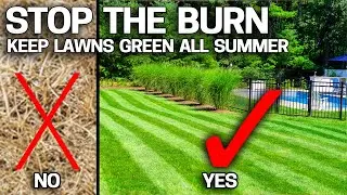 One Squirt Prevents Your Lawn Burning Up in Summer