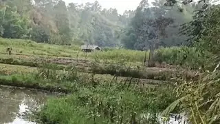 Mancing bersama teman yang tidak bisa ke lapangan