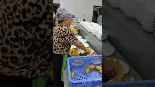 https://t.me/salimaopasamsalari