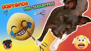 CORTANDO Y ABRIENDO los Juguetes de Mi Perro Lana! ¿Qué hay Dentro?