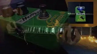 V11 Mod Tone Lemon Squeeze