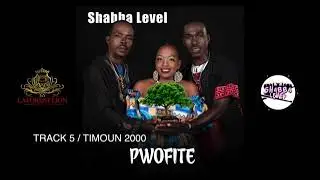 Shabba level album pwofite 2024