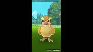 Pokemon GO תפיסת פוקימונים עם Incense