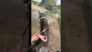 🏹EtnoTur🐎