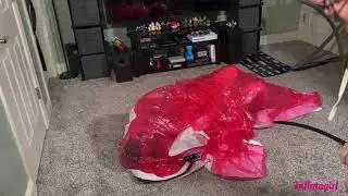 Trying Candy Coated Kink's Transparent Pink Whale Suit!