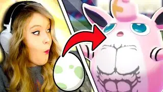 We Hatched Random Eggs ..... THEN WE FIGHT!!