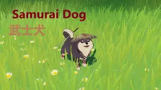 Genshin Impact | Fight with the Samurai Dog