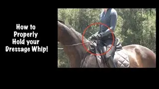 How to Properly Hold and Switch your Dressage Whip