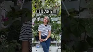 ЧТО ПОСАДИТЬ НА 🪦/больше пользы в моем тг t.me/spottykit