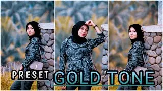 TUTORIAL EDIT POTO PRESET GOLD TONE