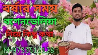 Some important things to know about gardening this rainy season.