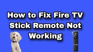 How to Fix Fire TV Stick Not Working
