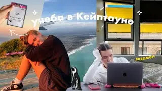 УЧУСЬ В КЕЙПТАУНЕ! Уроки, общага & пингвины + мой обычный день в школе