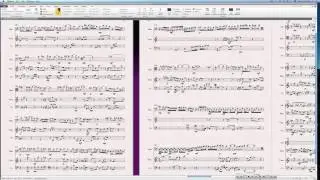 Bassoon Concerto 287 Battata Gonolatta score (Contemporary Classical Music)