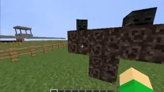 10 Cosas que talvez no sabias de Minecraft!