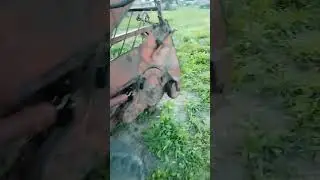попытаюсь ответить подписчику почему не отсекает нитку и не захватывает на рулон .