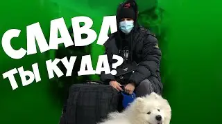 КУДА УЕХАЛ СЛАВА МАРЛОУ? / СЛАВА МАРЛОУ УЛЕТЕЛ ИЗ МОСКВЫ