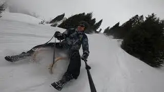 Экстрим на санках в Альпах