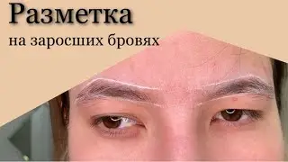Разметка на заросших бровях. Разметка нитью и brow пастой. Оформление бровей. Эскиз бровей
