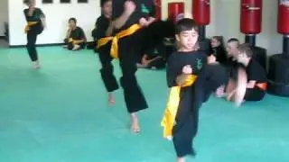 Spring Martial Arts - Basic Form 1