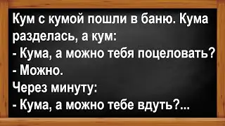 Кум с кумой пошли в баню... Анекдоты! Юмор! Позитив!