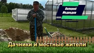 Дачники и местные жители