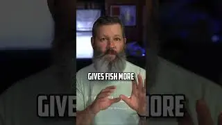 Lure Speed: You’re Probably Getting it Wrong
