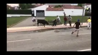 Toro embiste a un Abuelo😲 / La Saca 2018 / Fiestas de San Juan