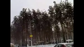 Парк Совёнок зимой 2016г. Воронеж, 150120071239