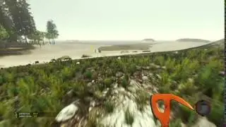 The forest how to survive first night