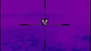 Операция  Дешакализация. Thermal Predator Hunting.