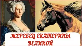 Екатерина II ВЕЛИКАЯ, все любовные романы и игры, сексуальные забавы императрицы, жеребец Екатерины