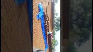 Bricks work | KRP farm