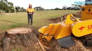 Amazing Skill  Tree Cutting & Modern Technology Wood Chipper Machine Working