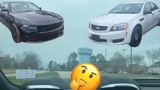 On The Hunt For an Inexpensive Daily Driver!