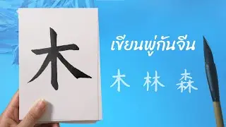 【木】 Learn Chinese Calligraphy with me