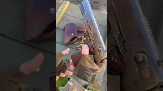 Tokarev TT vs Radom VIS 35