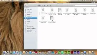 How to get Visual Basic for Mac