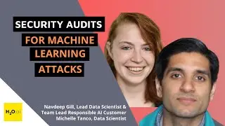 Security Audits for Machine Learning Attacks